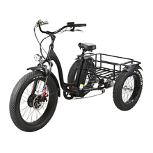New Design Powerful Lithium Battery Electric Trike Tricycle Three Wheeler with  Fat Tyre